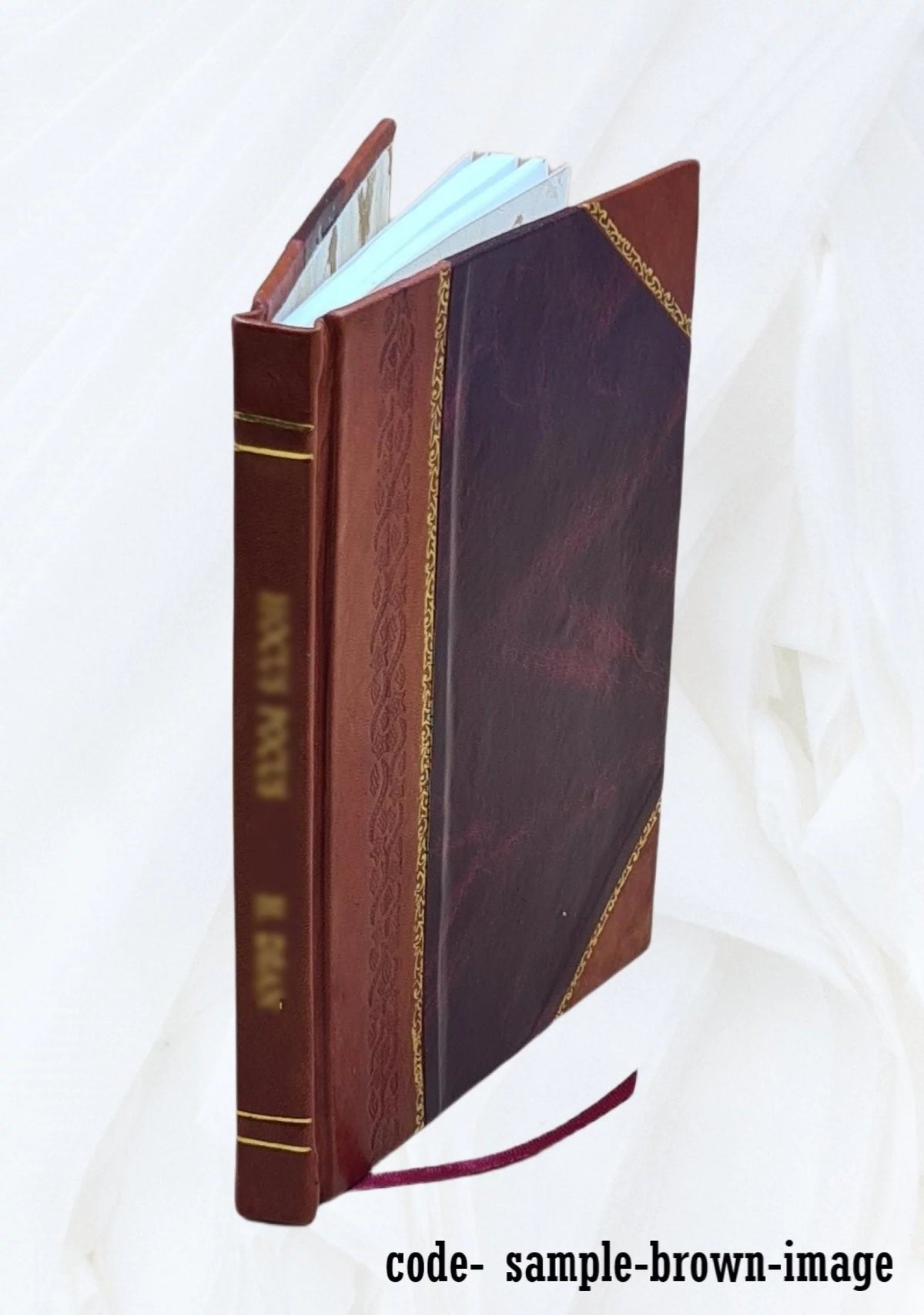 1913 Leather Bound E656