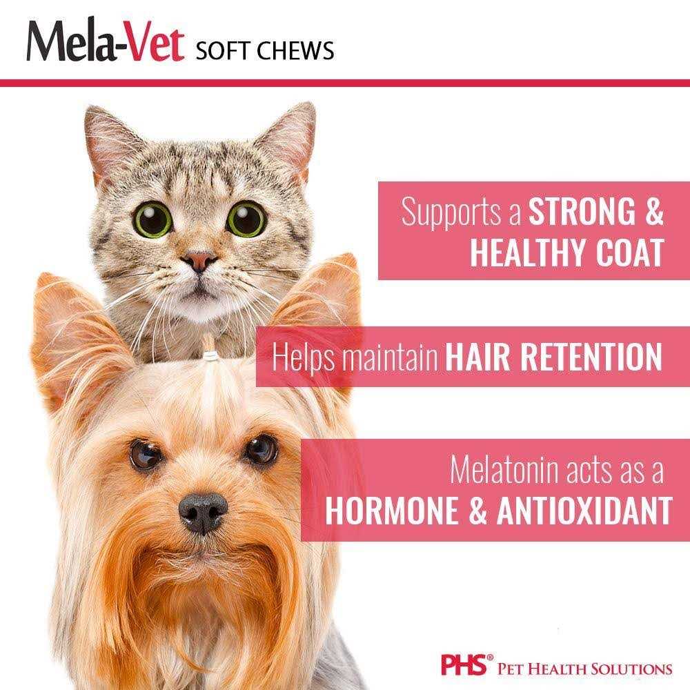 Melatonin Soft Chews for Dogs & Cats K8200
