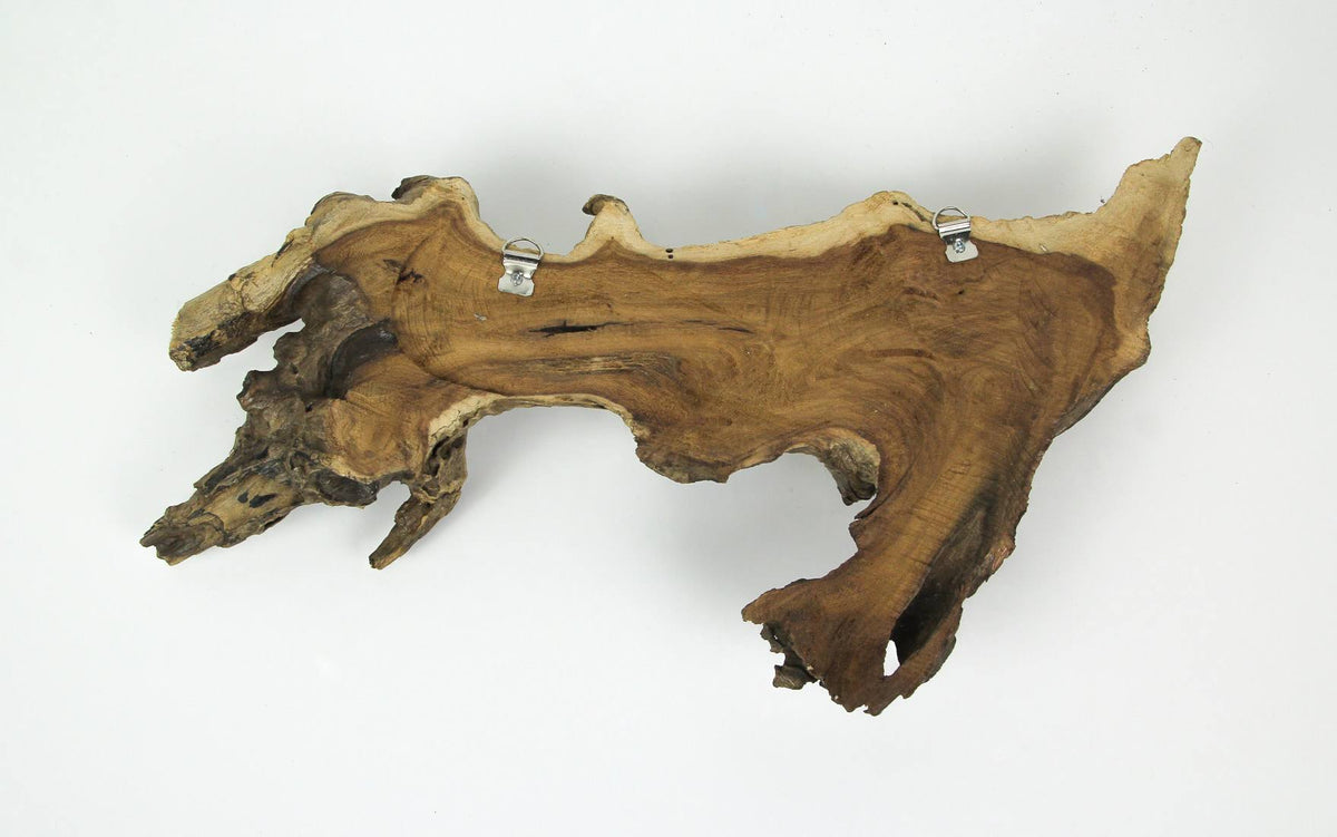 Carved Wood Whale Wall Hanging T7778