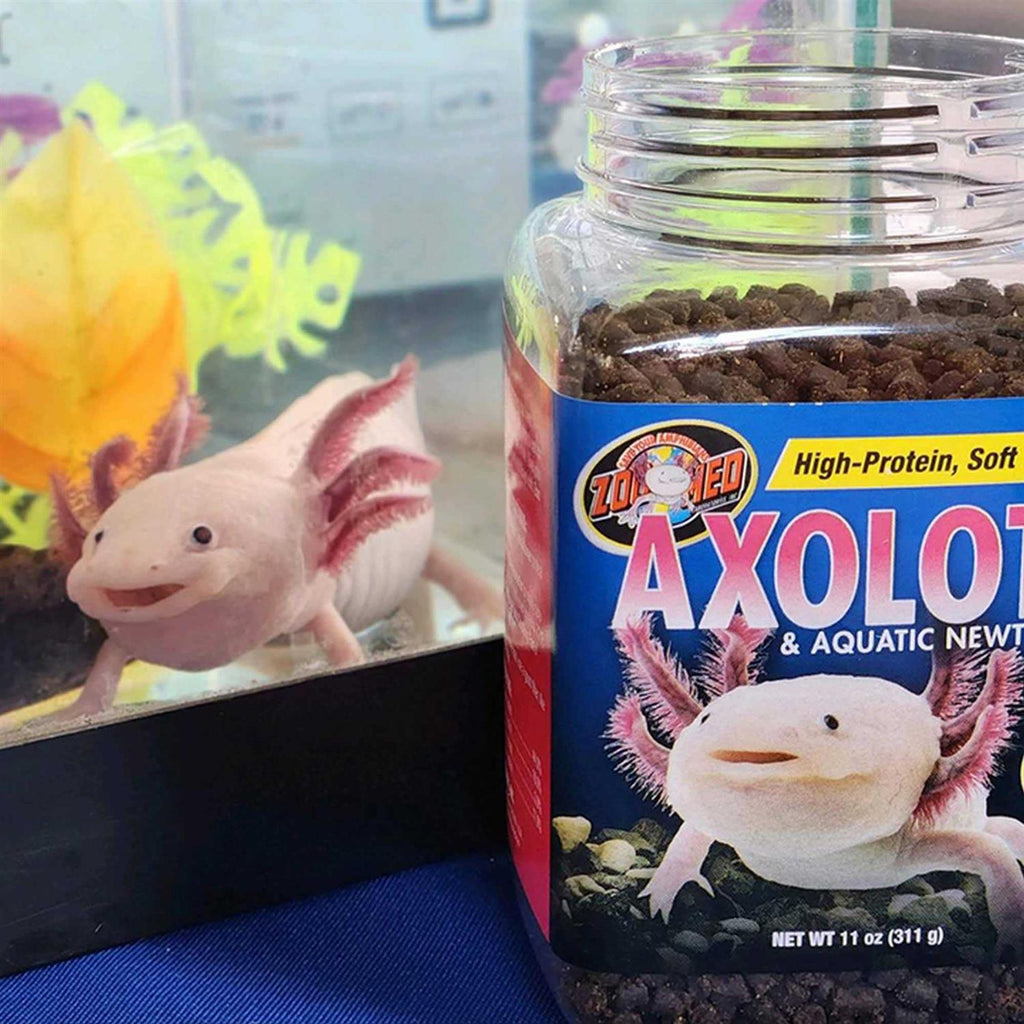 Aquatic Newt Food Q16616