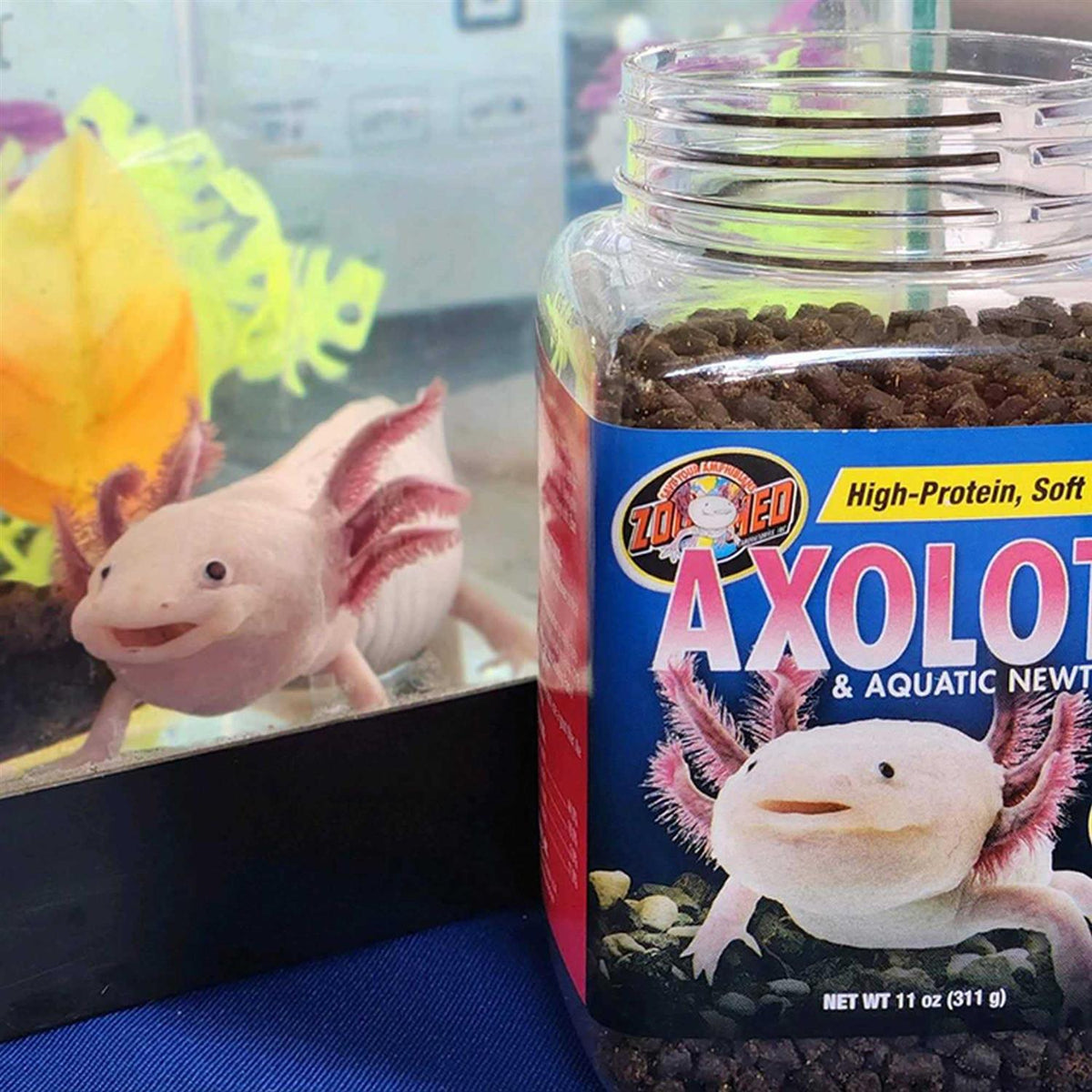 Aquatic Newt Food Q16616