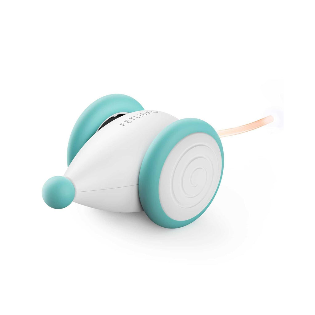 Interactive Cat Toys with LED Lights D9998