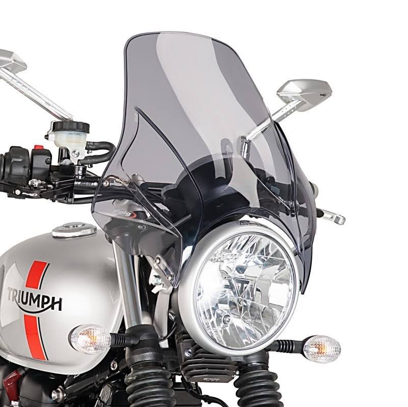 Windshield A180094