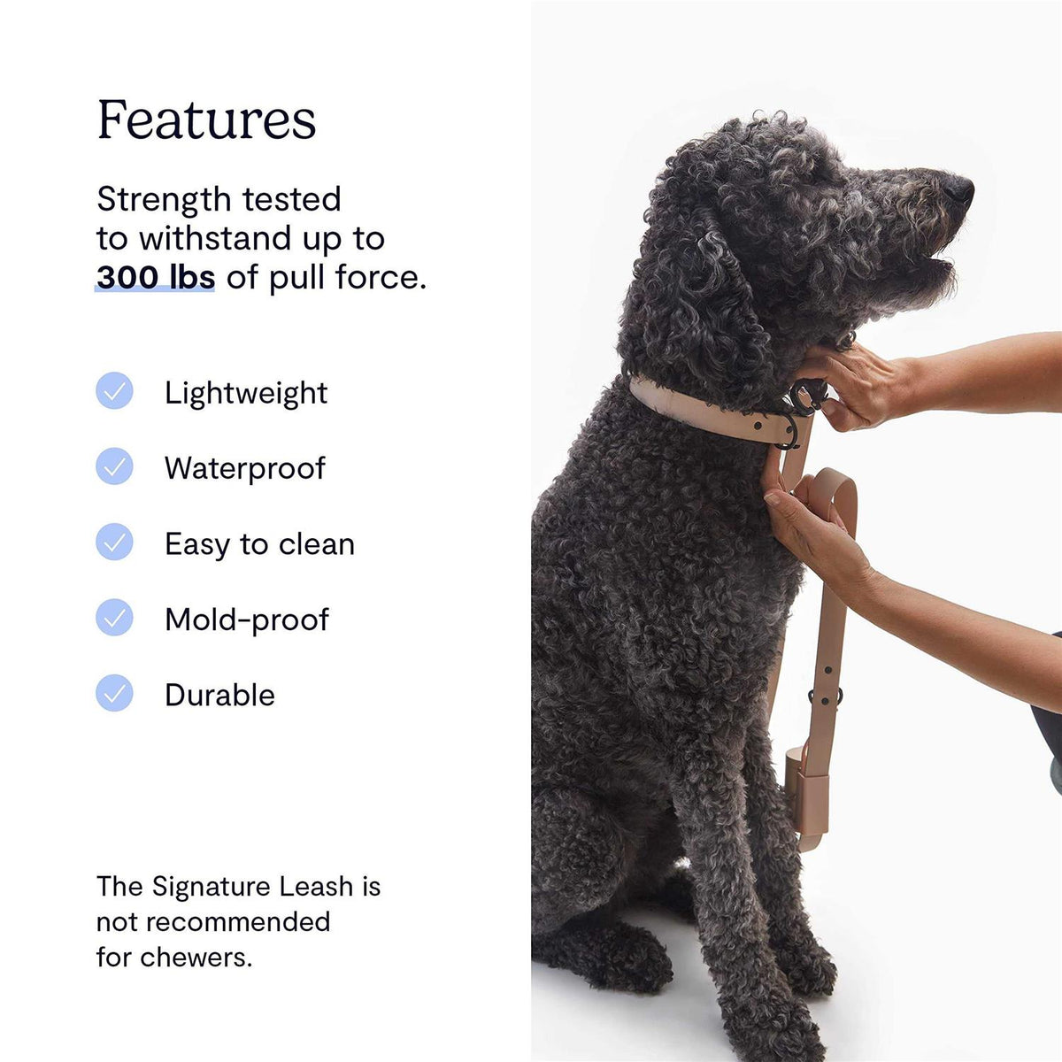 Dog Leash S547