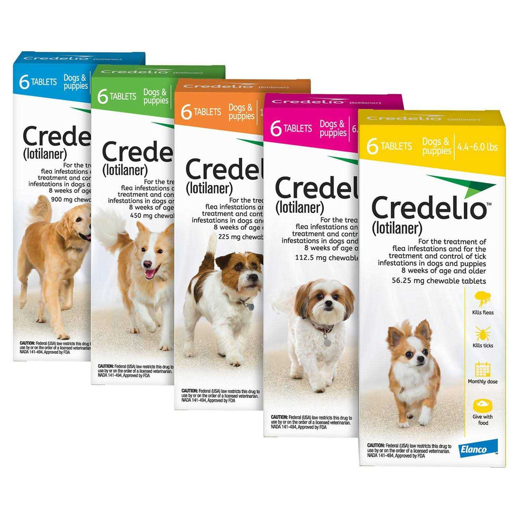 Chewable Tablet for Dogs Q638