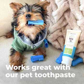 Blue Pet Finger Brush I765