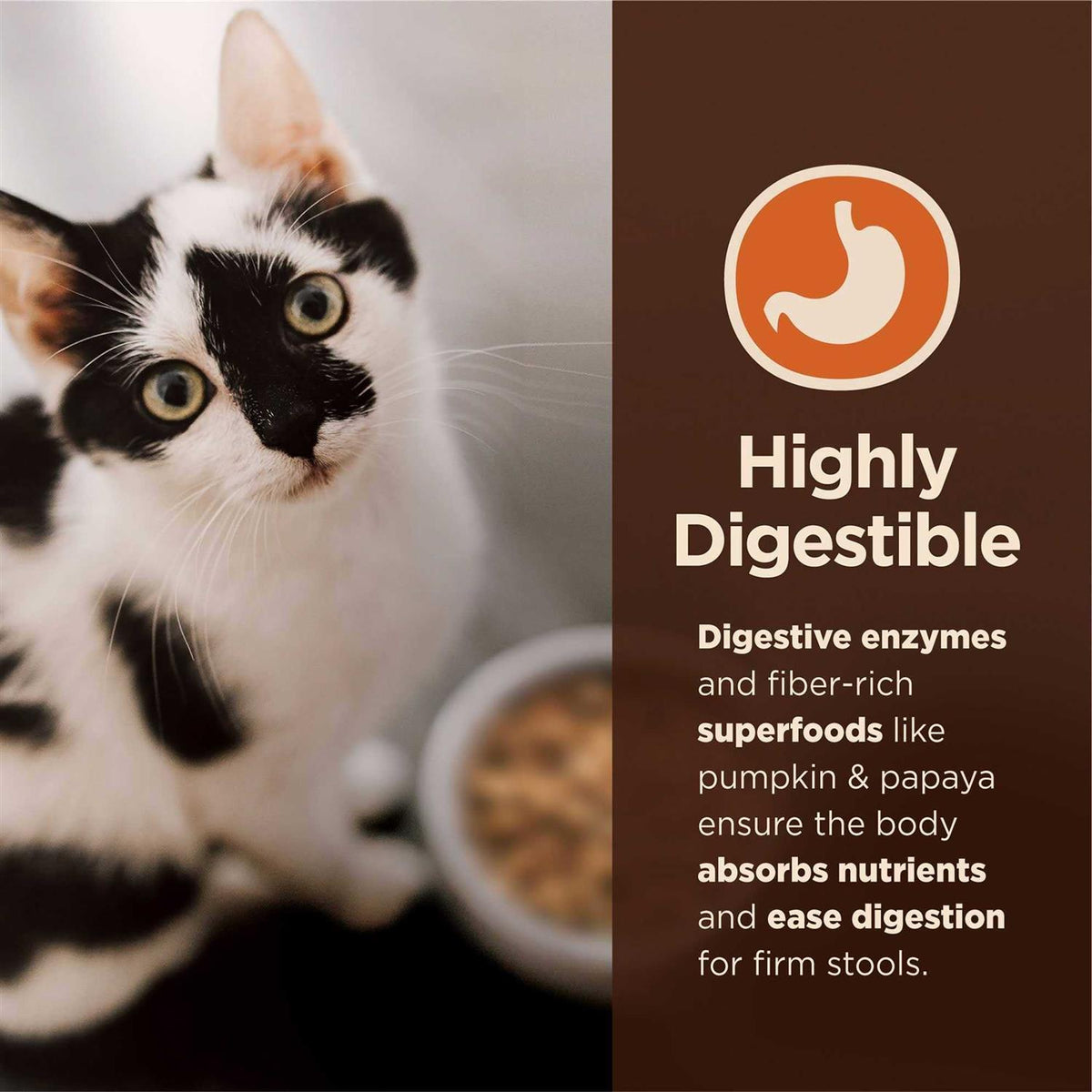 Chicken & Rice Dry Cat Food B636043