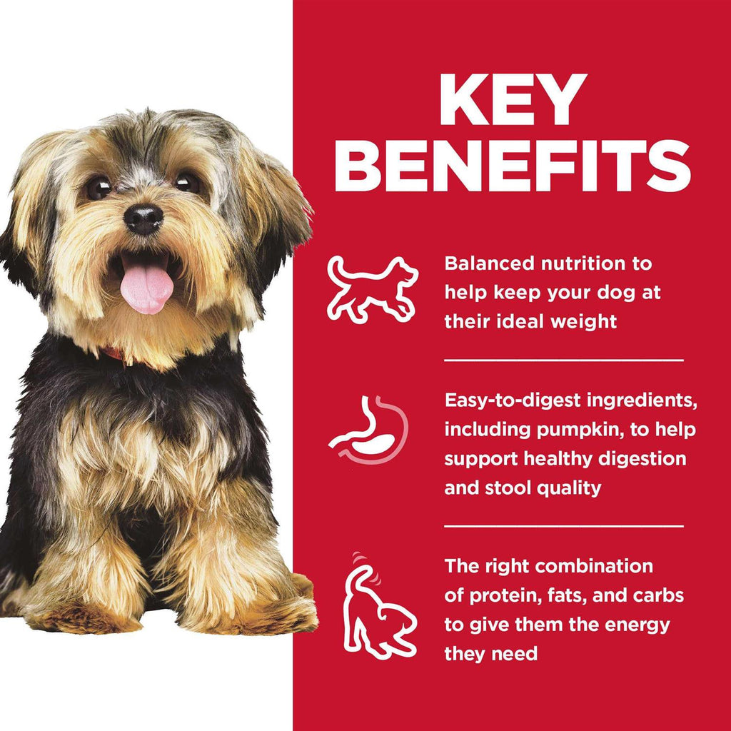 Dry Dog Food W21759