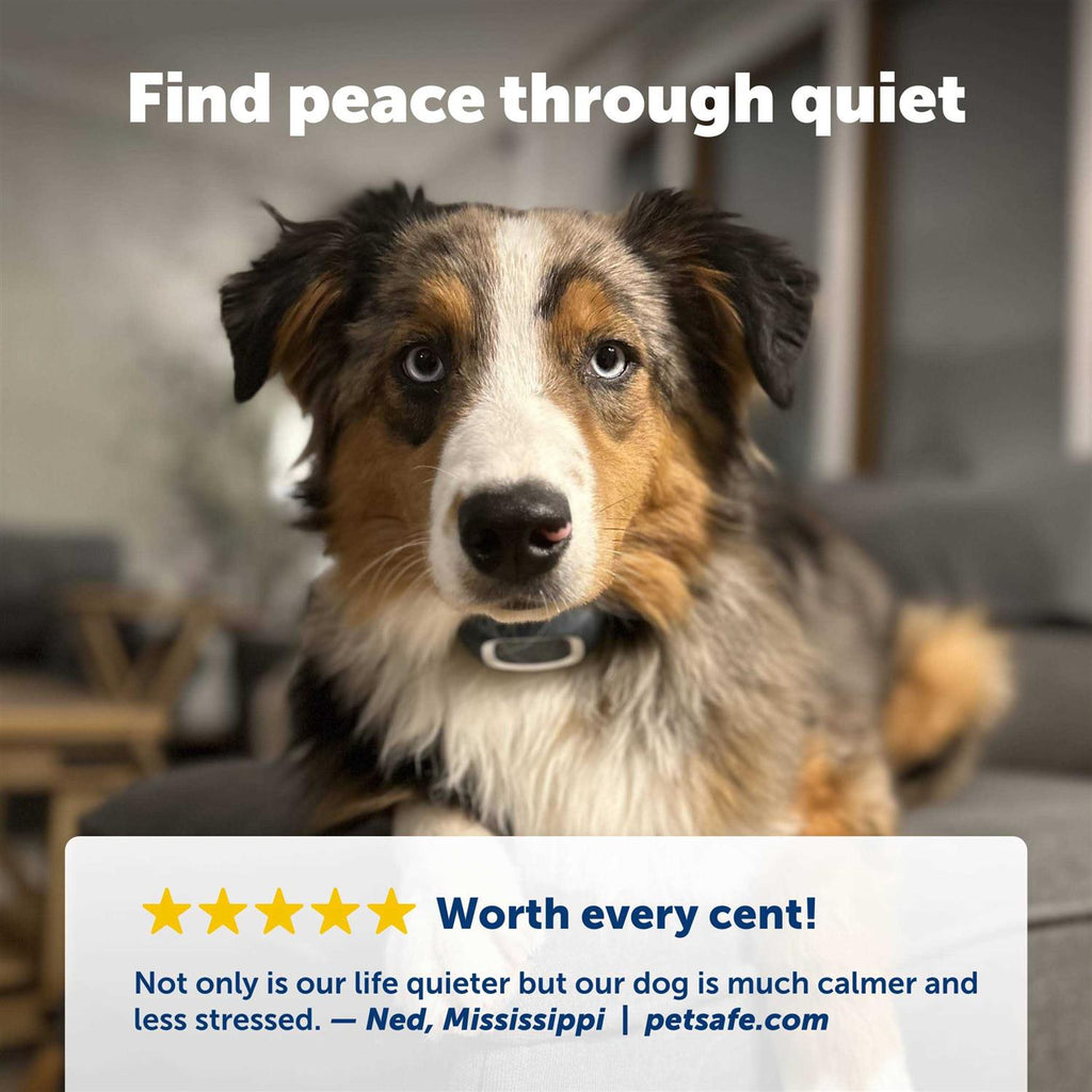 Bark Collar V10298