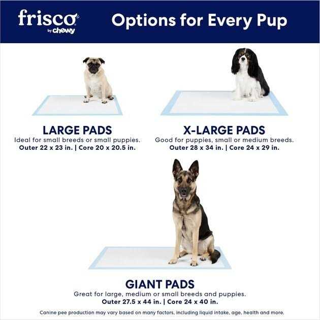 Training Potty Pads V937947