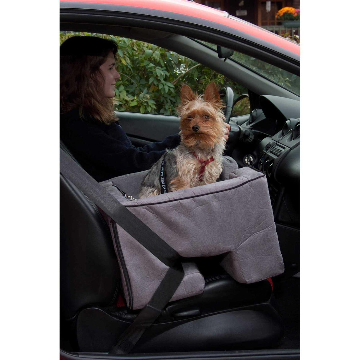 Booster Car Seat B816670