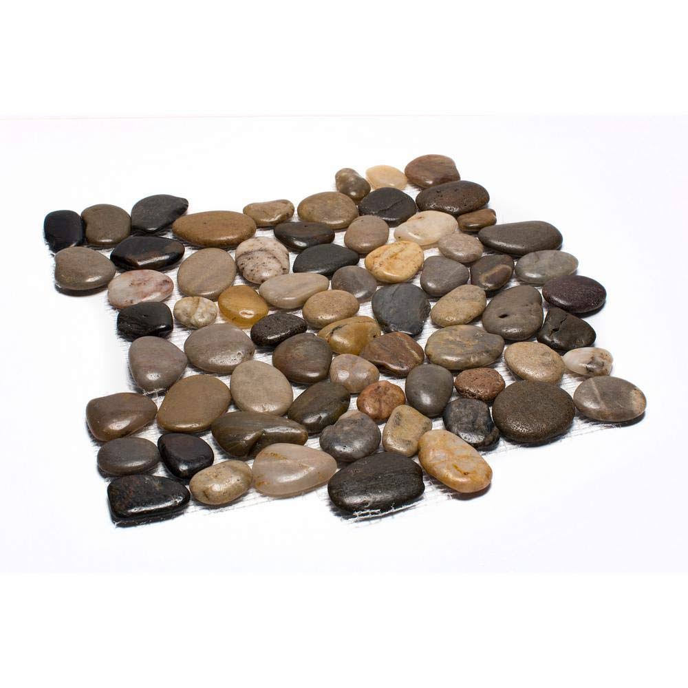 12 in. x 12 in. Mixed Mid-Polish Pebble Stone Tile H54676