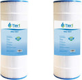 Pool & Spa Filter Cartridge 2 Pack Q14697