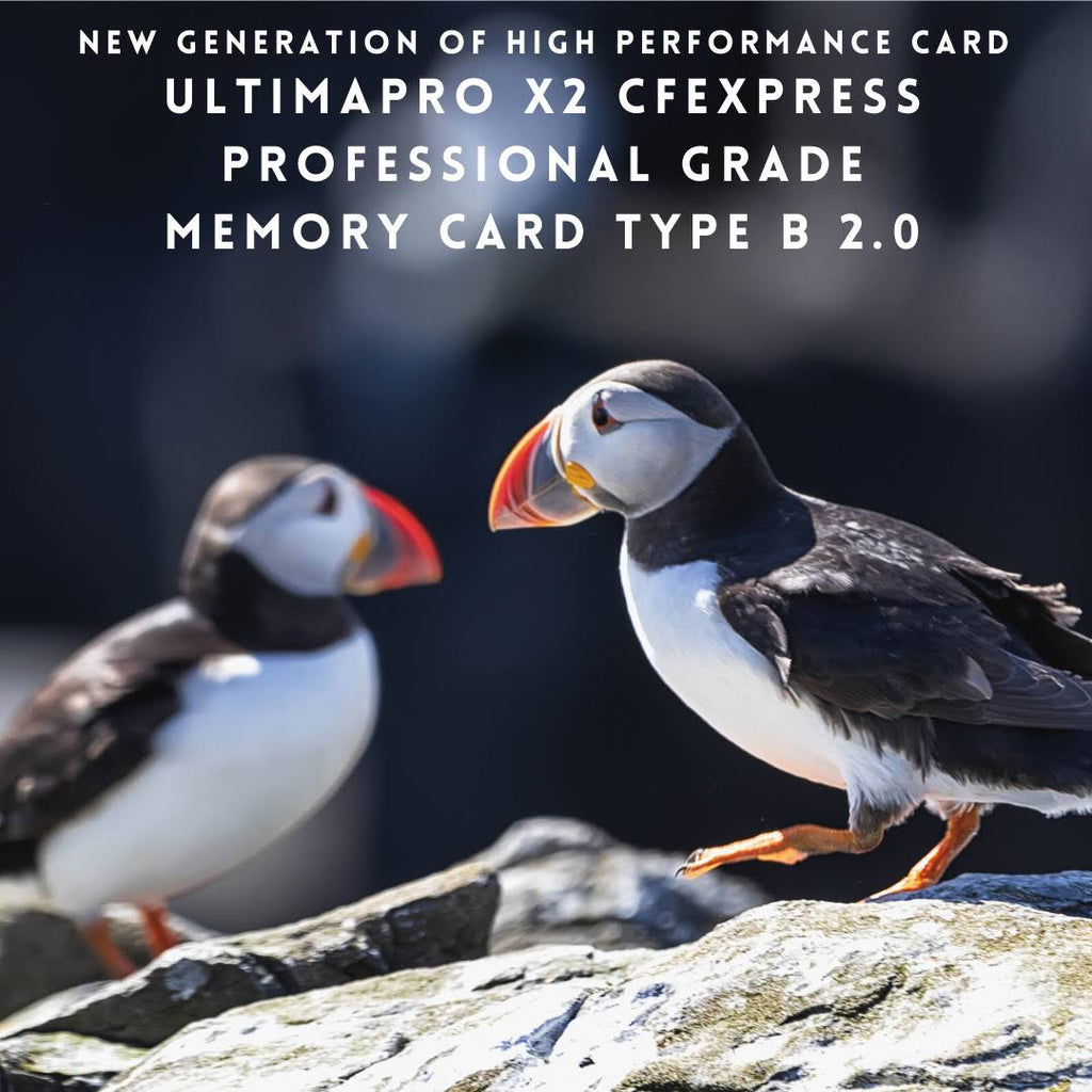128GB CFexpress Memory Card K88000
