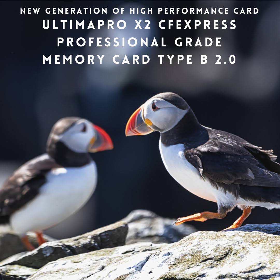 128GB CFexpress Memory Card K88000