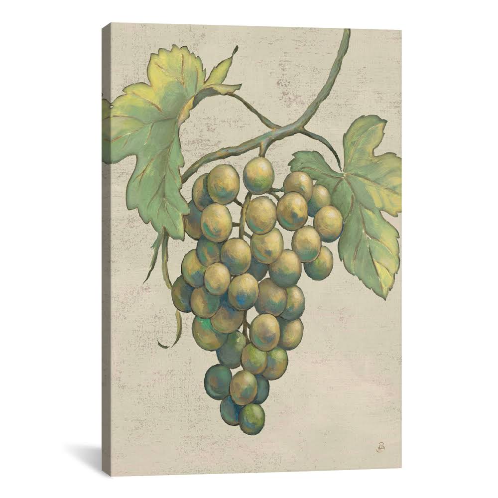 Fruits Canvas Print N814