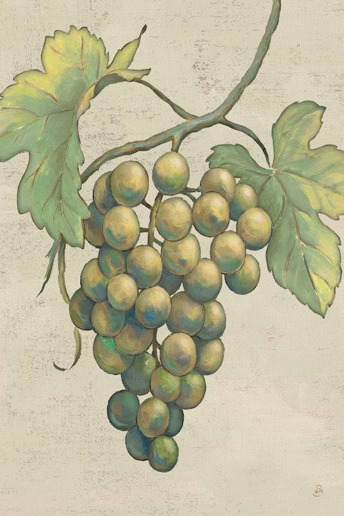 Fruits Canvas Print N814
