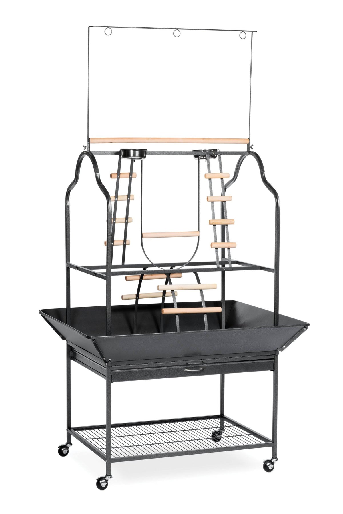Black Parrot Playstand V2858