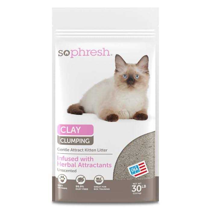 Scoopable Kitten Litter I78564
