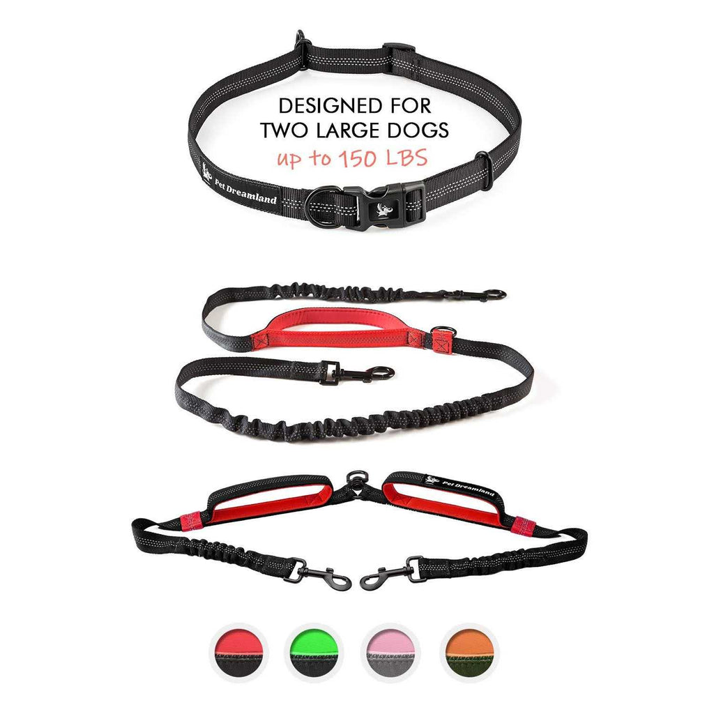 Double Dog Leash J227048
