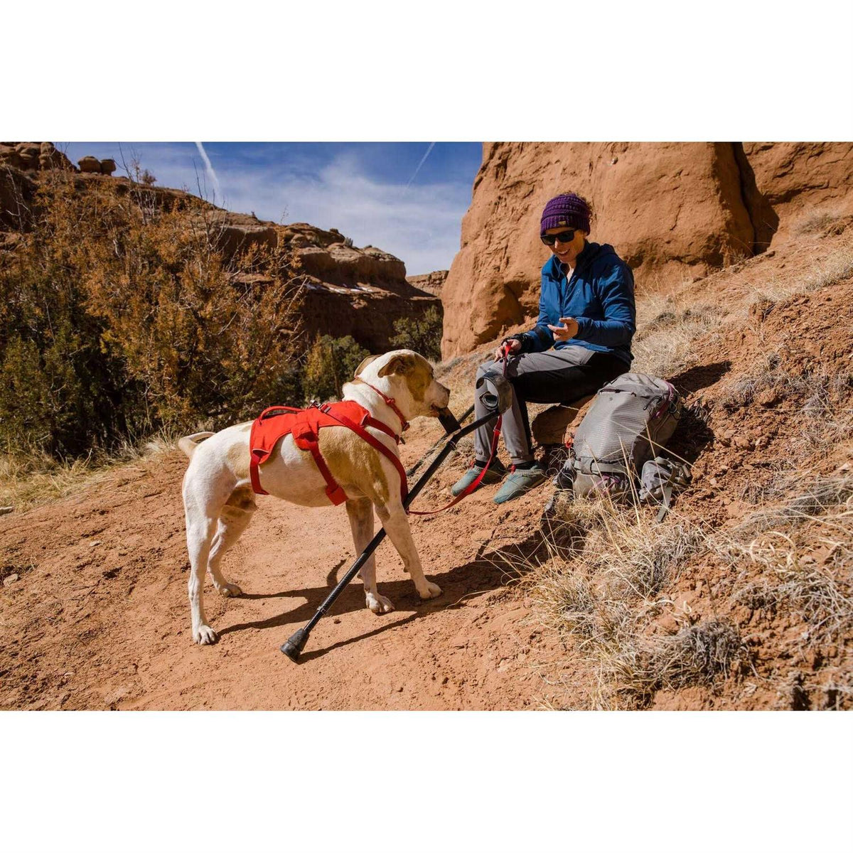 Web Master Dog Harness V45731
