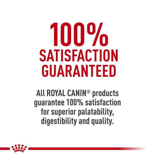 Adult Cat Food U910717