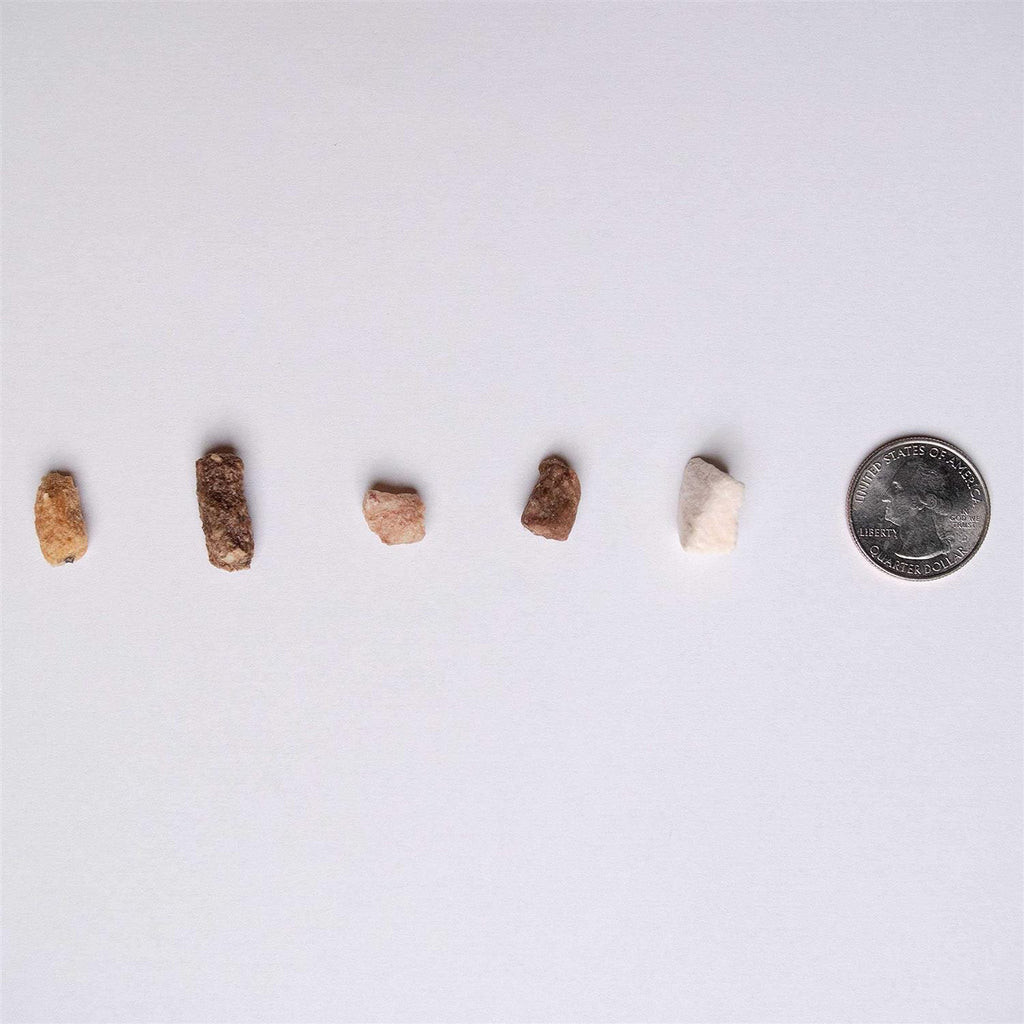 Freeze Dried Training Dog Treats P1528