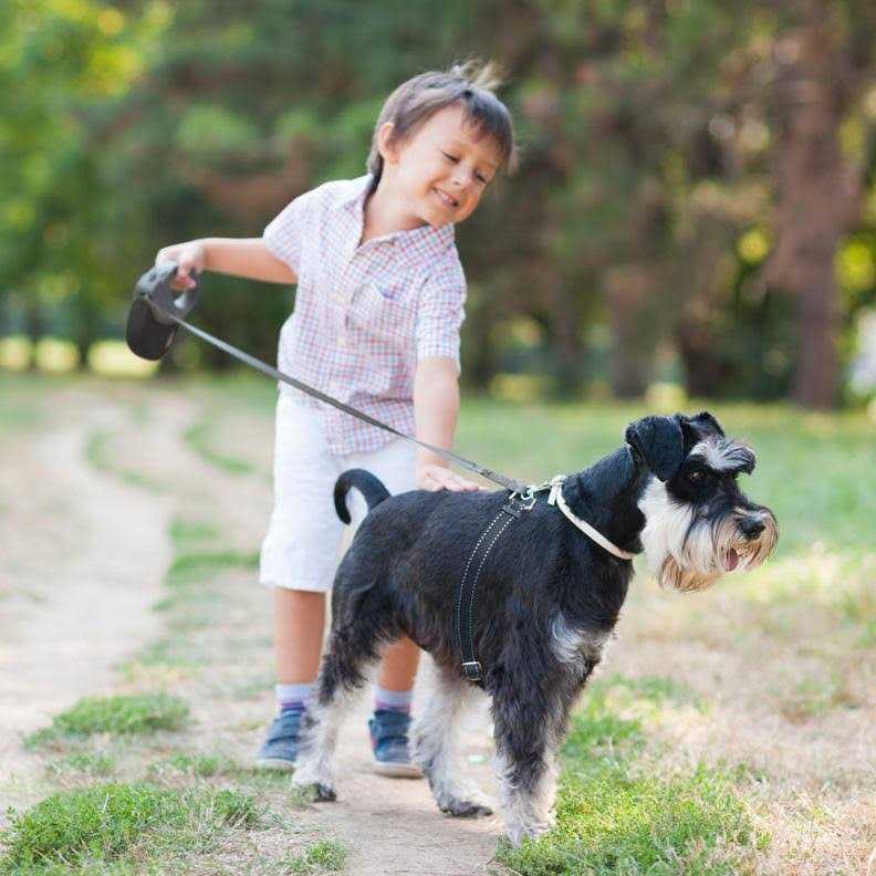 Retractable Dog Leash A1893