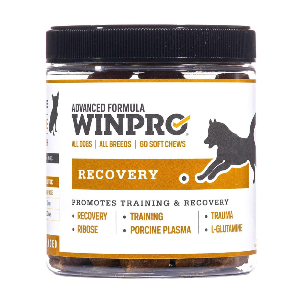 Soft Chews, 60 Chews, Natural Blood Protein Supplements for Dogs V51501