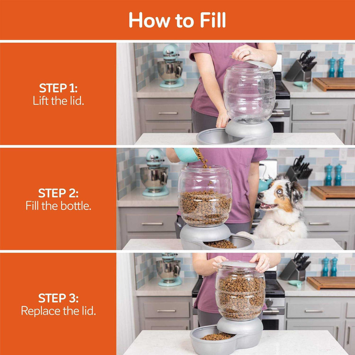 Pet Feeder H456