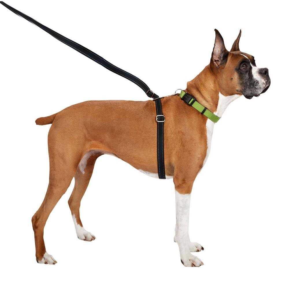 Retractable Dog Leash A1893