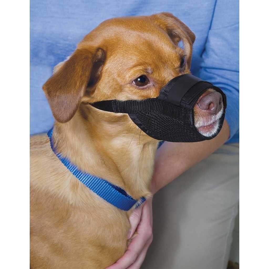 Dog Muzzle T45883