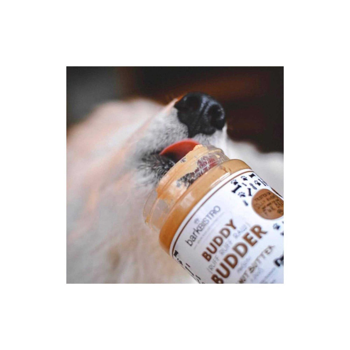 Peanut Butter Pet Supplies Z35204