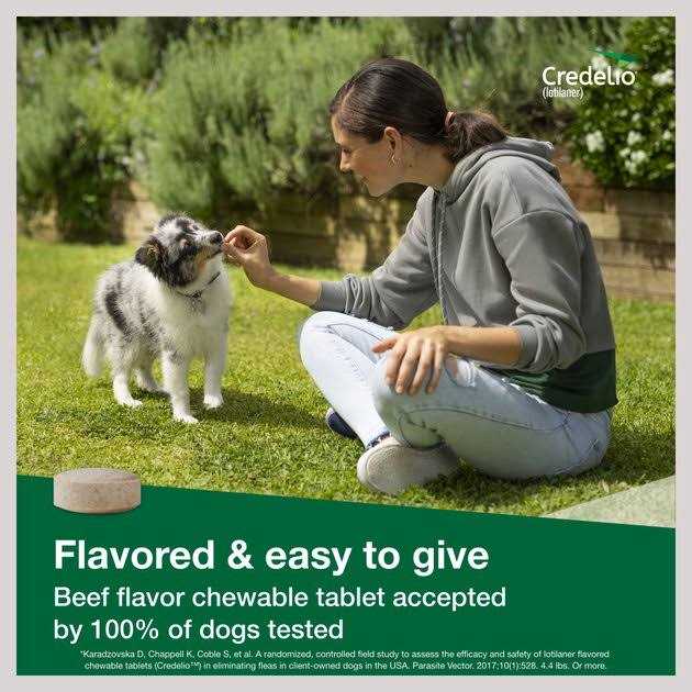 Chewable Tablet for Dogs Q638