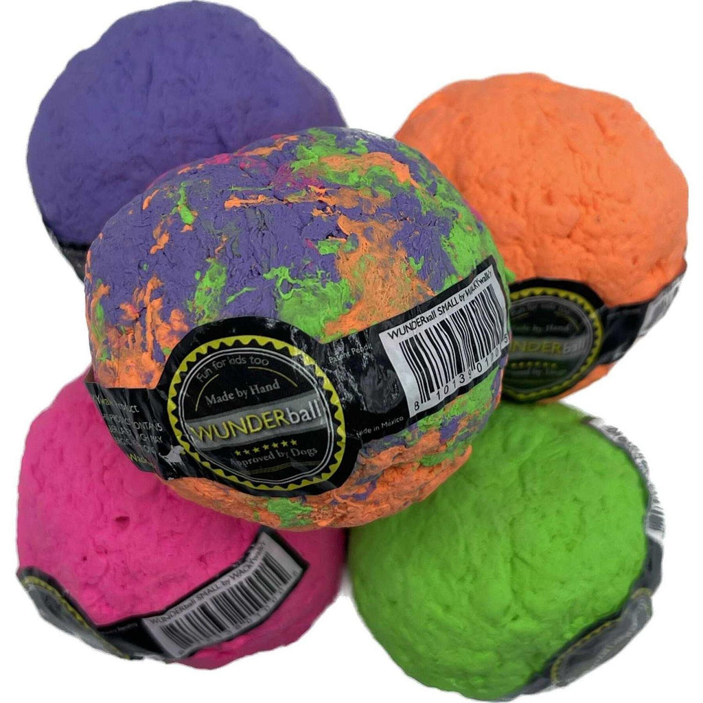 Fetch Dog Toy K96670