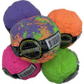 Fetch Dog Toy K96670