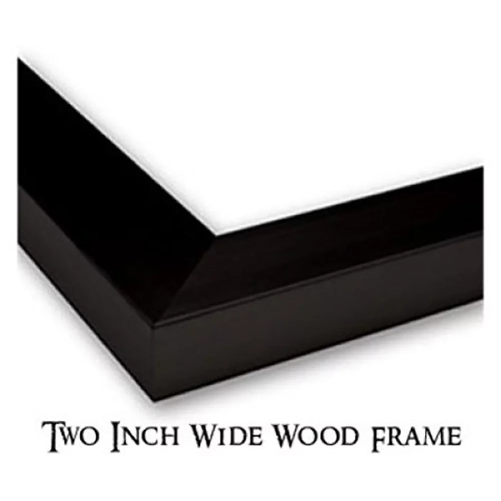 11x14 Black Framed Art Print N500013