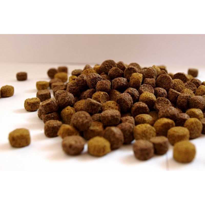 Grain Free Pacific Ocean Fish Meal Dog Food W686