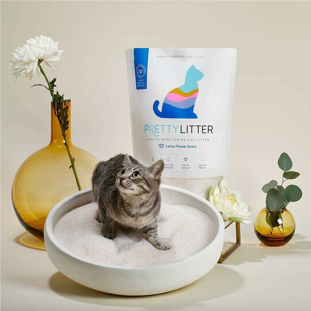 Health Monitoring Cat Litter E712