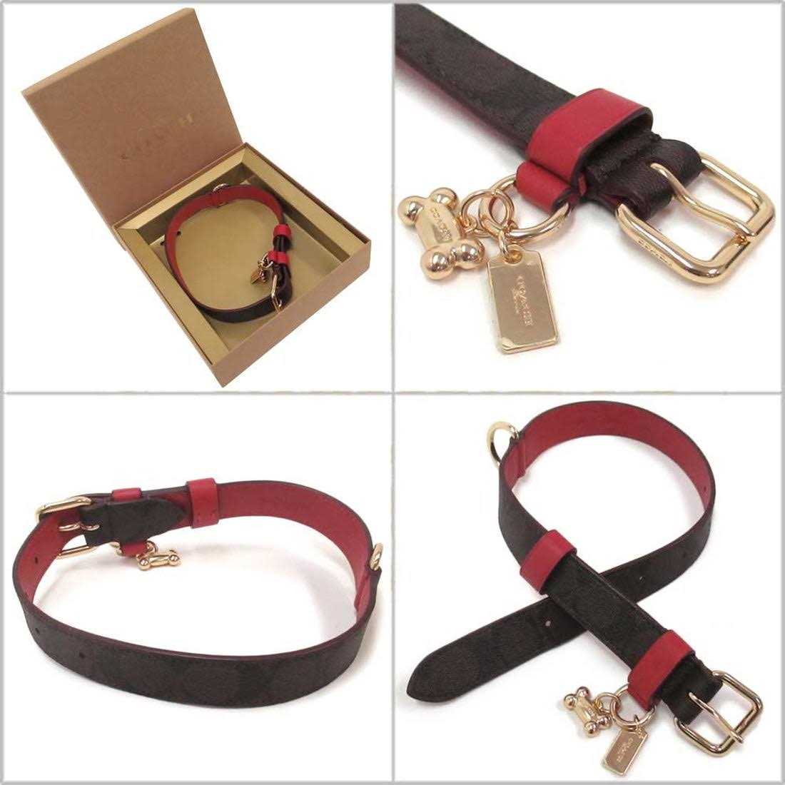 Boxed Pet Collar In Signature Canvas W854