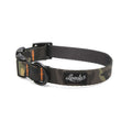 Hank Collar S704475