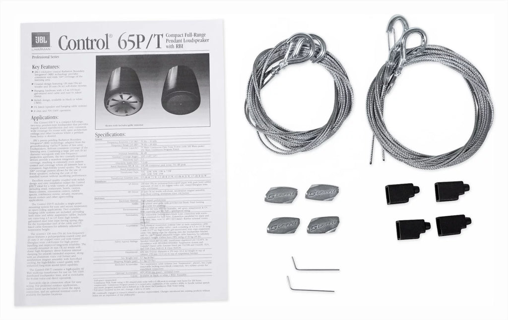 White Pendant Speakers J223717