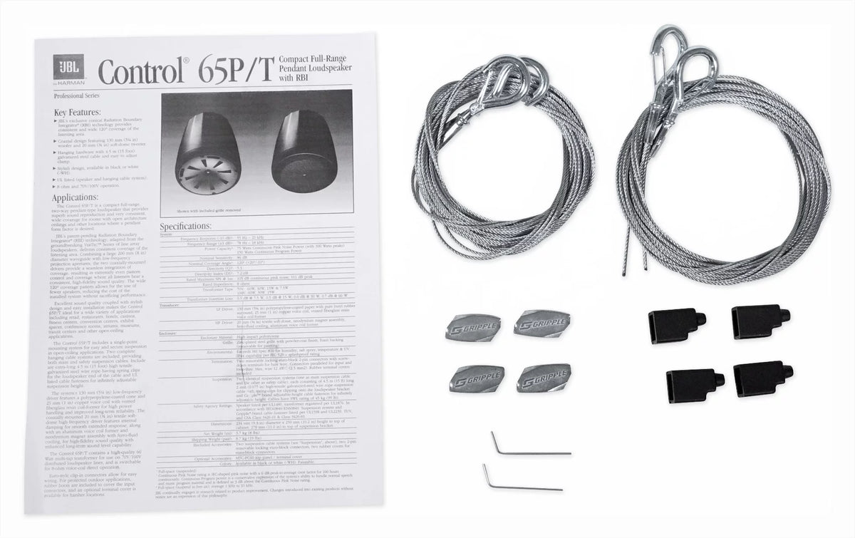 White Pendant Speakers J223717