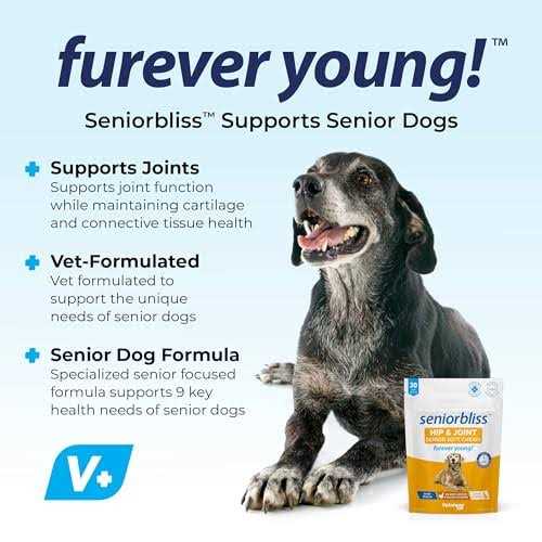 Supplement for Senior Dogs B95082