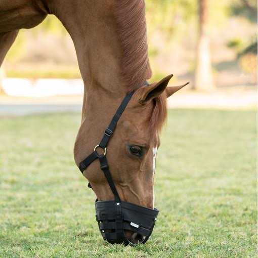 Poly Grazing Muzzle Z8156
