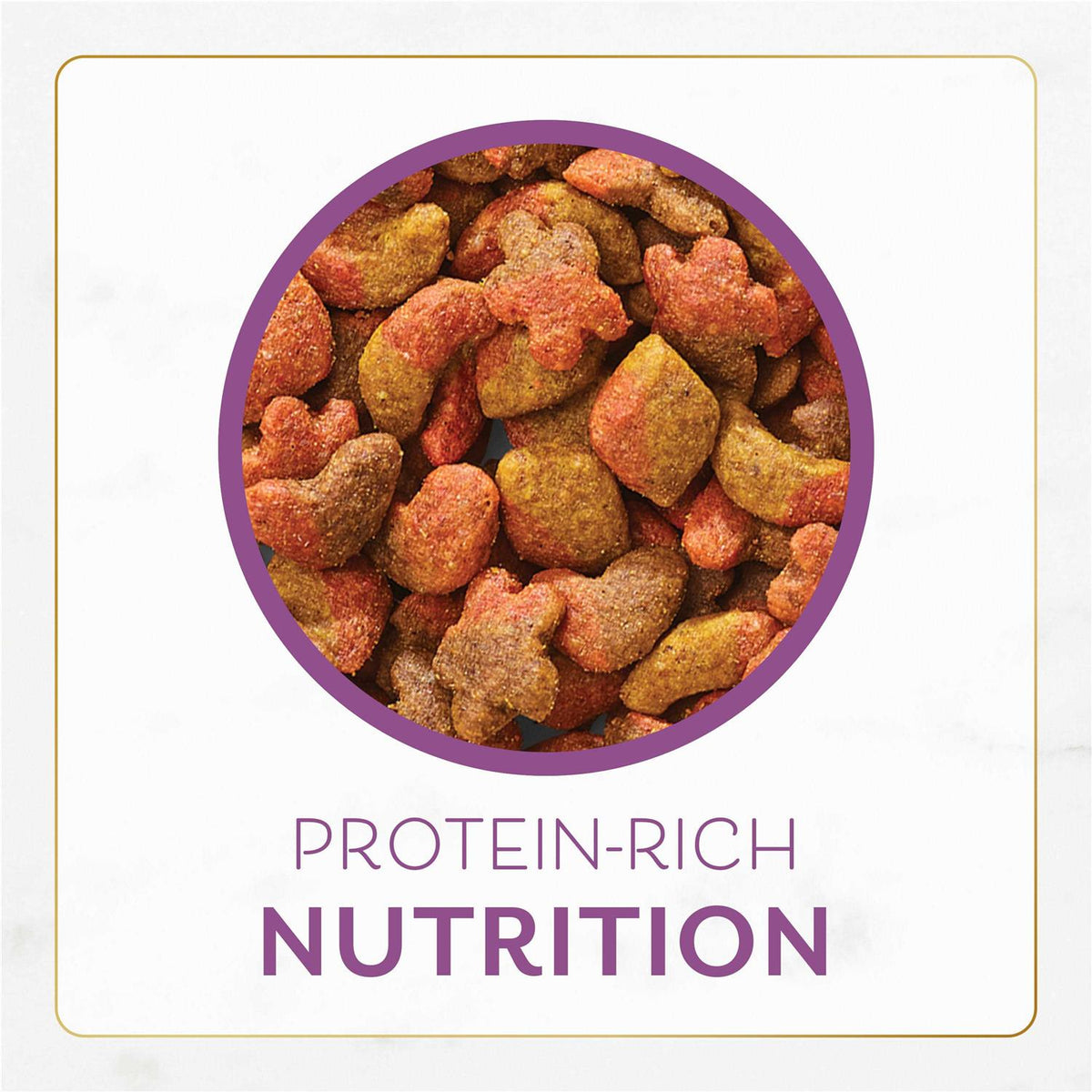Dry Cat Food F6676