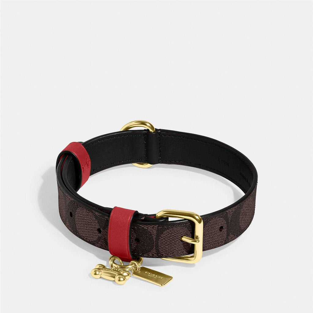 Boxed Pet Collar In Signature Canvas W854