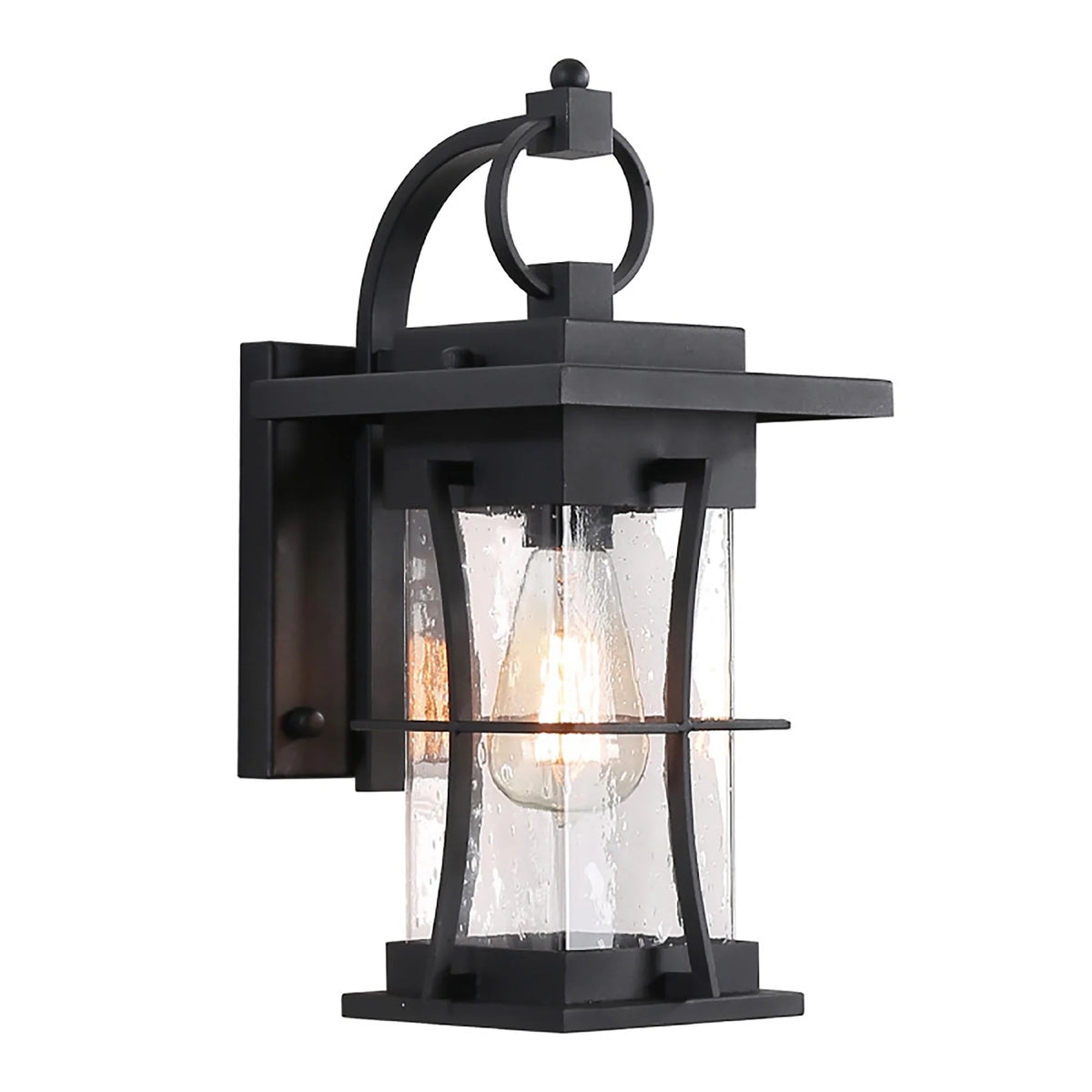 Waterproof Wall Sconce Light Fixture with Clear Glass Shade V54062