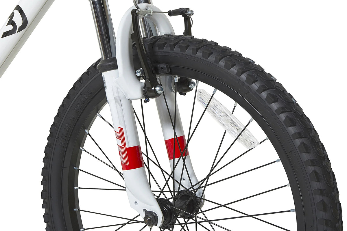 20-Inch Boys BMX Bike D41564
