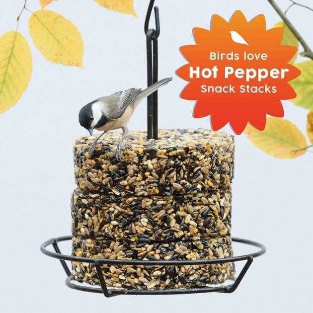 Hot Pepper Wild Bird Food X4313